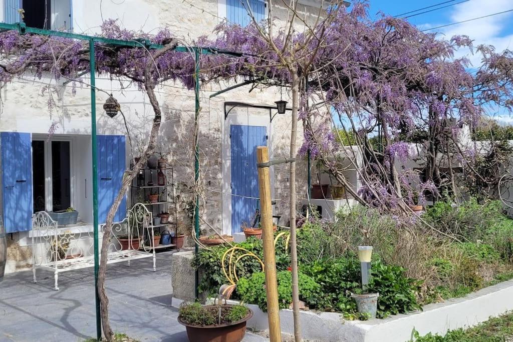 Location Appartement Dans Mas Provencal มงโตซ์ ภายนอก รูปภาพ